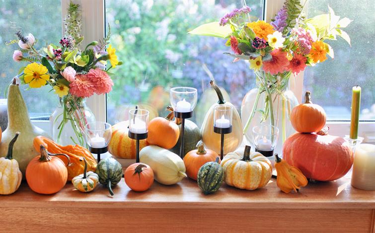 How To Host Thanksgiving In Your Apartment | Apartments.com