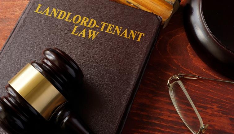 What To Know About Landlord-Tenant Laws | Apartments.com