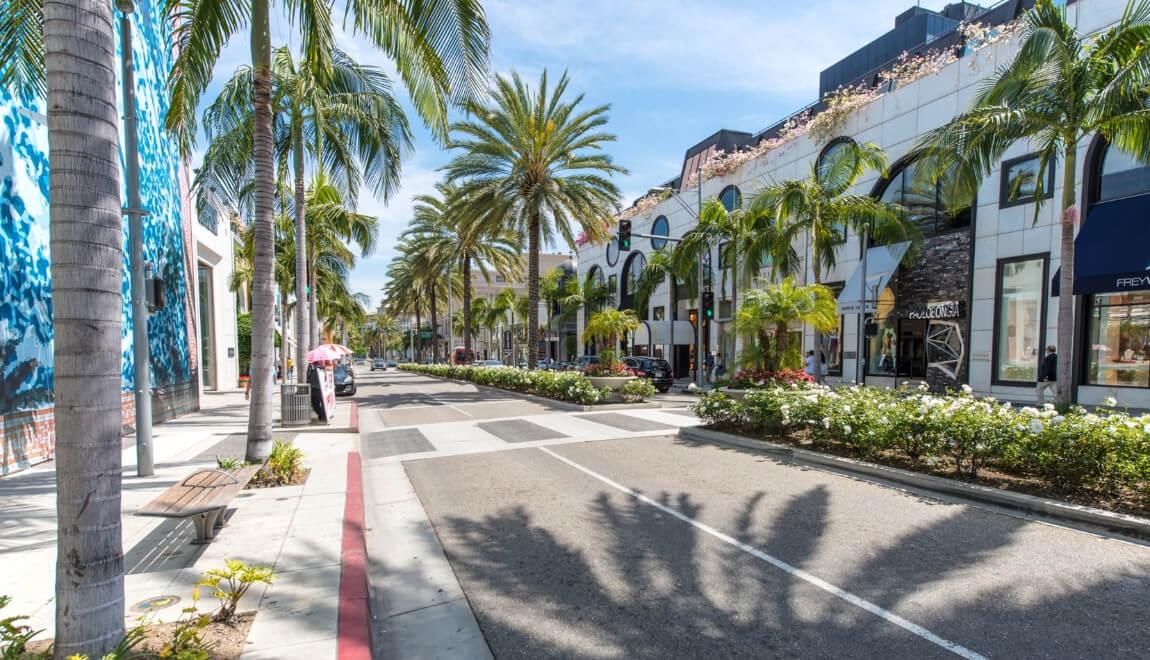 Palm trees lining a street in Downtown Los Angeles, CA.