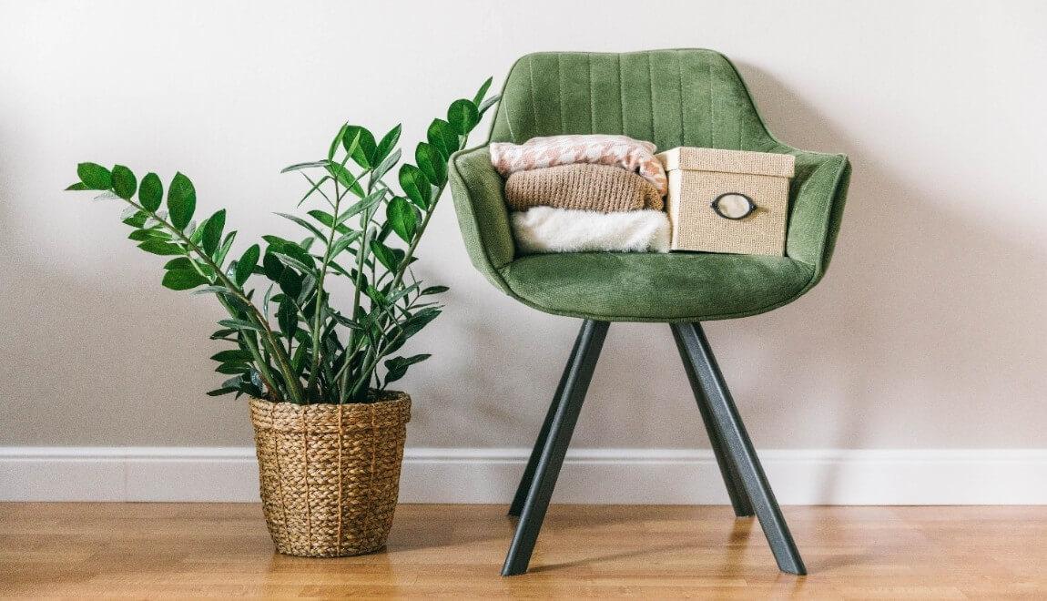 green chair and plant