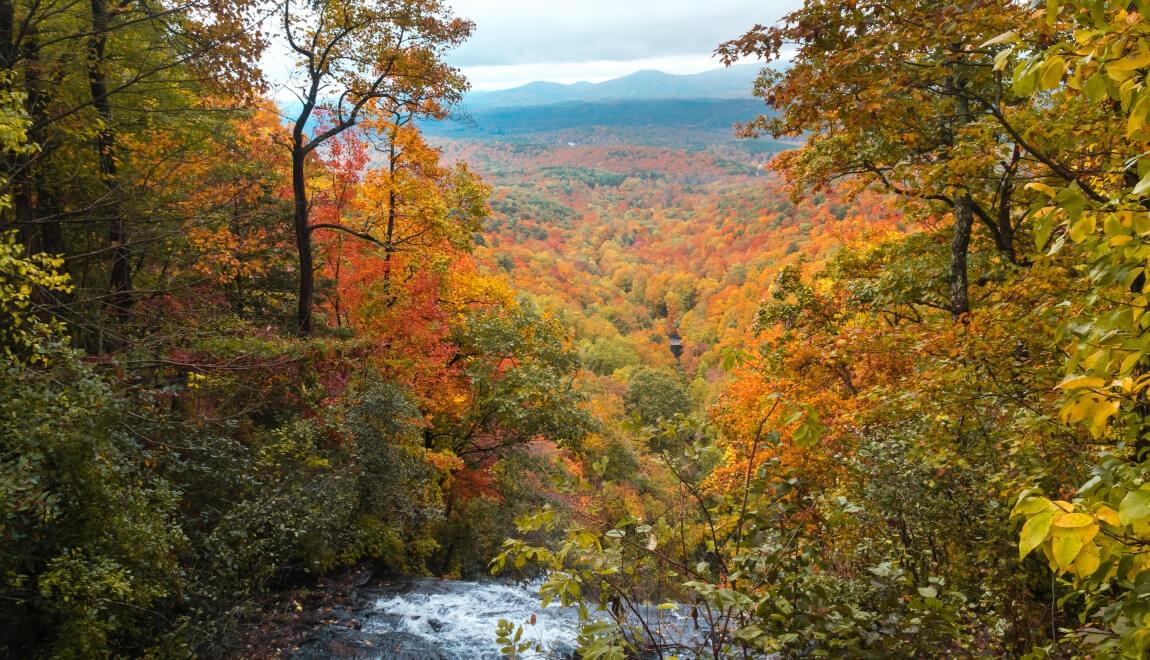 View from Amicalola Falls State Park in Dawsonville, GA.