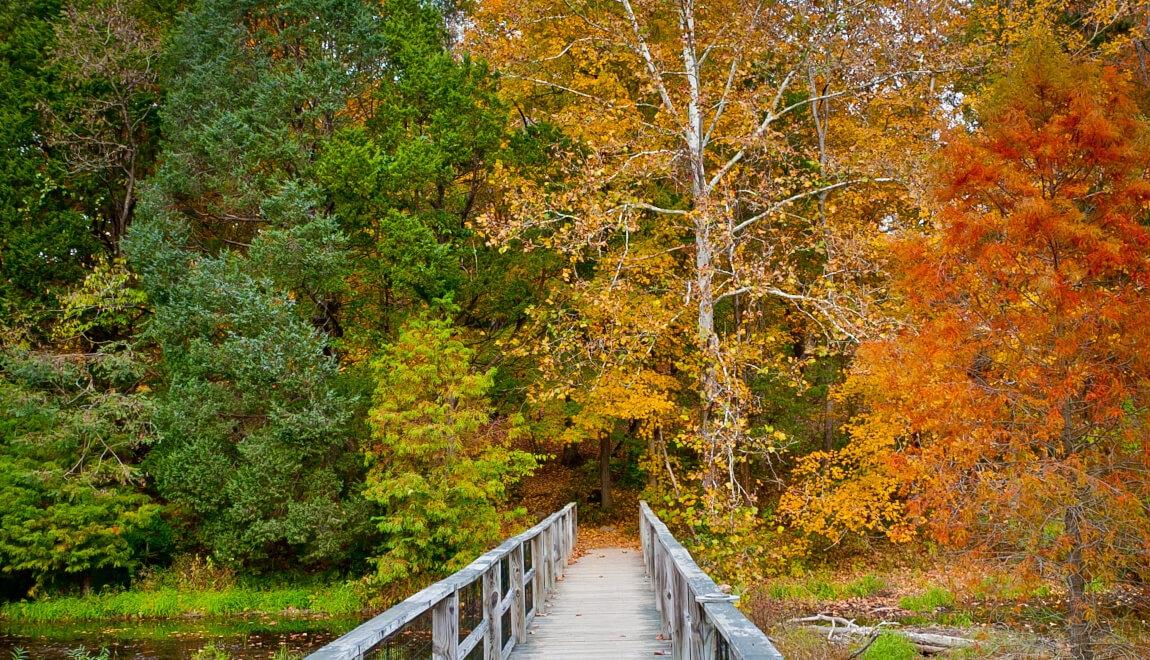 Walking trail at Bernheim Arboretum and Research Forest, Louisville KY.