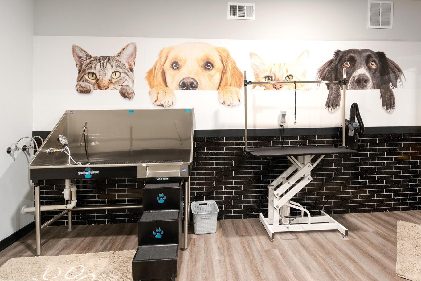 Adorable pet-grooming station with a dog and cat mural on the wall.