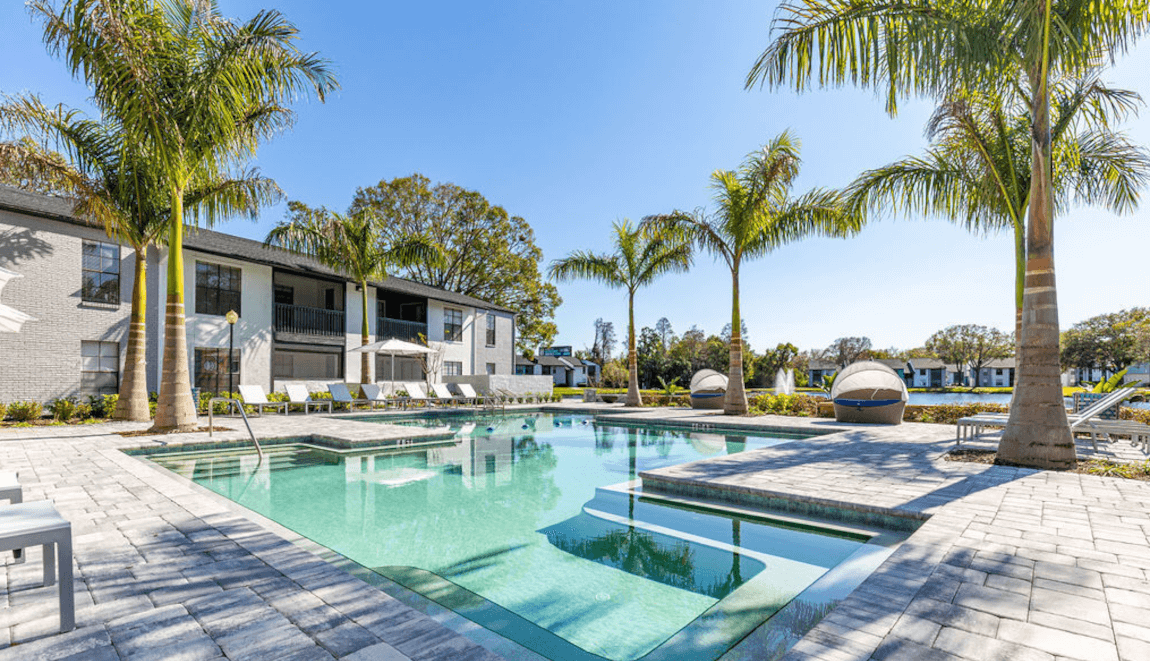 Residents of the Avion at Carrollwood can lounge by the pool under a palm tree.