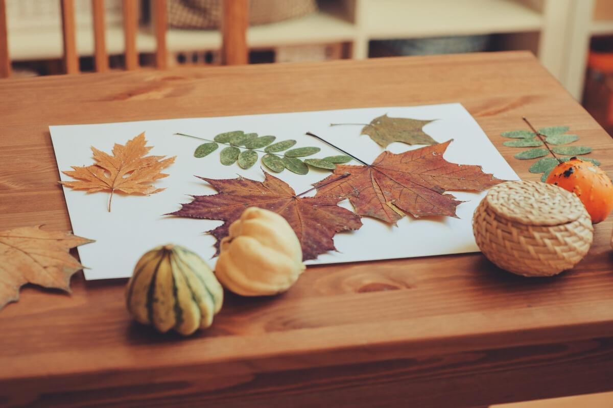 Autumn leaves sit on top of craft paper for a fall-themed craft.