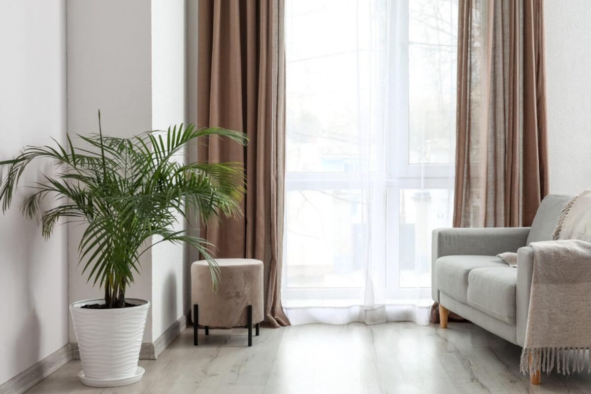 Sunlight streams into an apartment through sheer curtains.