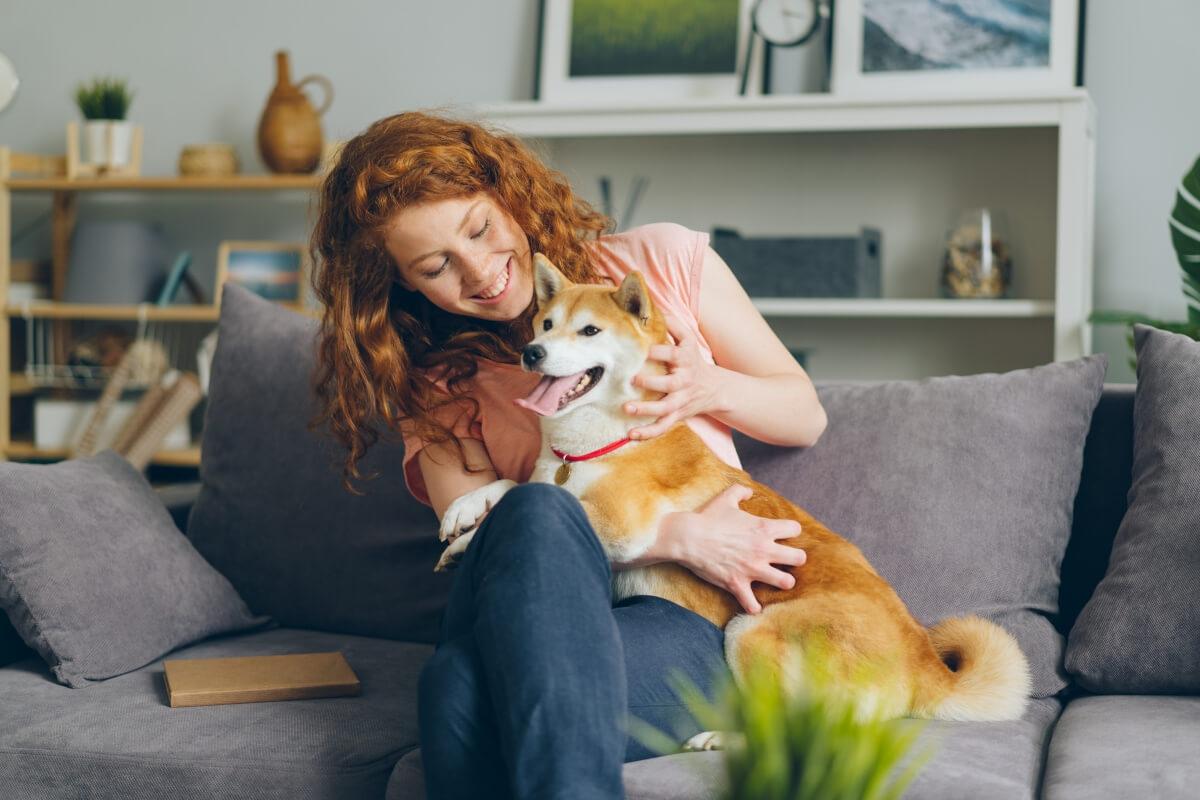 Tenant plays with dog in apartment.