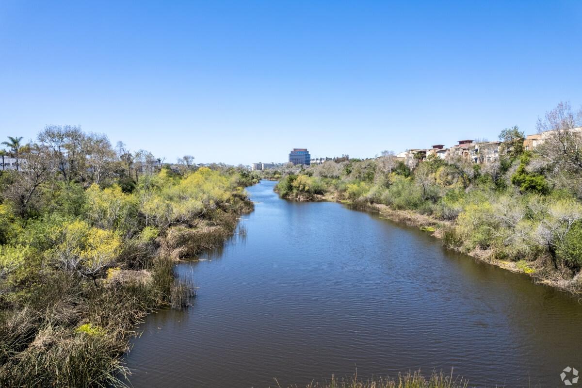 The San Diego River and the greenery on either sides.