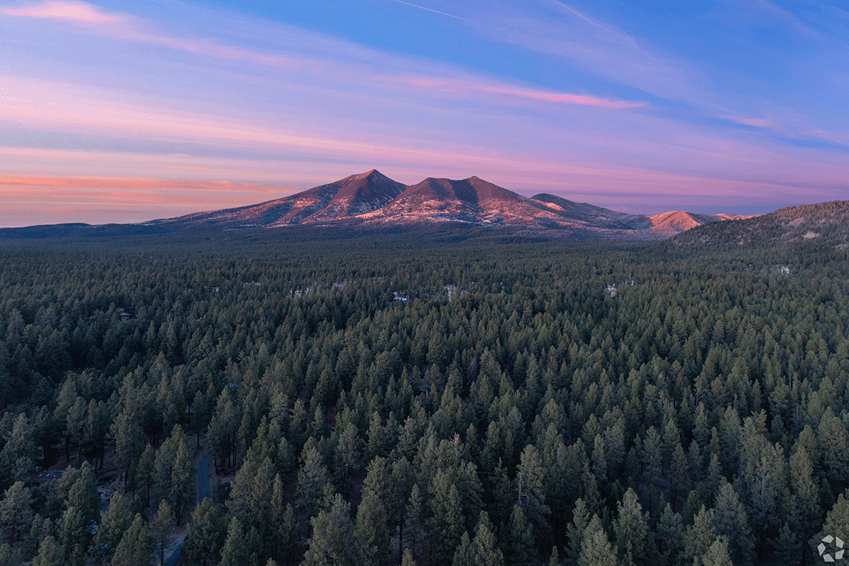 A view of mountains at sunrise over the ponderosa pine forest in Flagstaff.