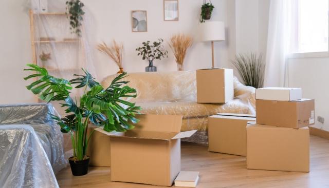 10 Things to Do Before Moving Day