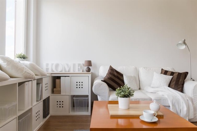 Couch, coffee table, and shelves in an apartment