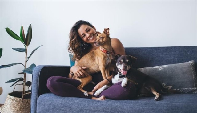 Woman on blue sofa with two dogs