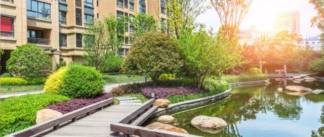 A luscious garden outside of a building