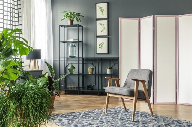 A sitting room with lots of indoor plants