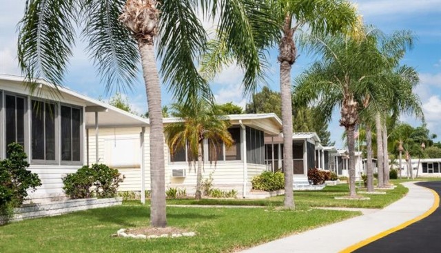 Palm trees line the sidewalks of a manufactured home community in Florida.