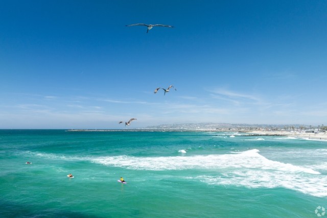 Seagulls fly over the water at Ocean Beach Park in San Diego.