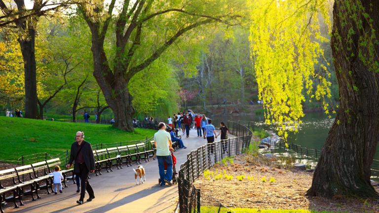 People stroll through New York City's Central Park on a sunny day