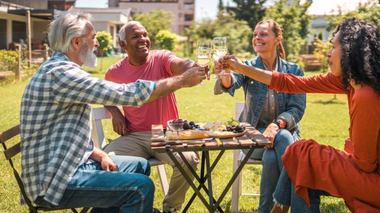 Adults raise glasses in a toast during outdoor spring gathering