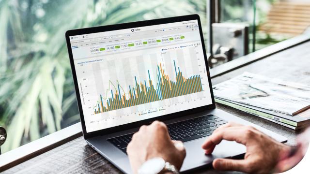 person viewing data chart