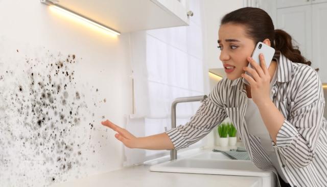 Tenant discovers mold in rental property. 