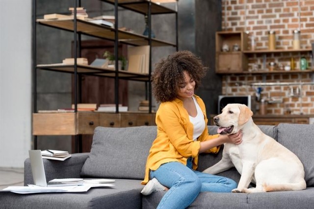 person on a couch petting a dog that is also on the couch