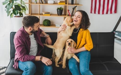 couple playing with two medium sized puppies