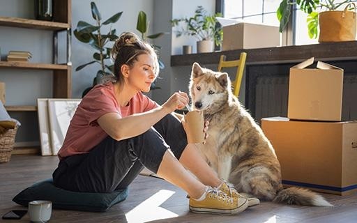 Renter moving with her dog.