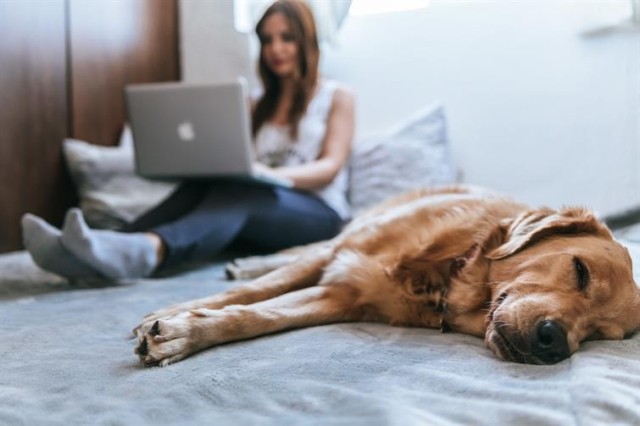 Tenant with her pets