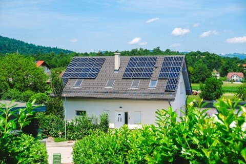 White house with solar panels on roof is surrounded by plants.