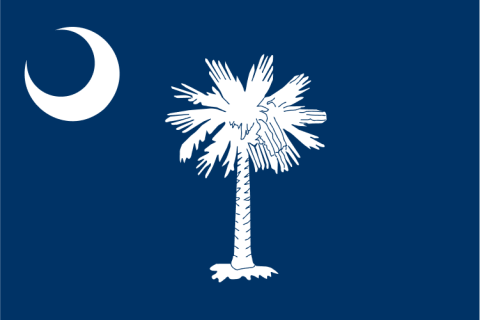 south carolina flag